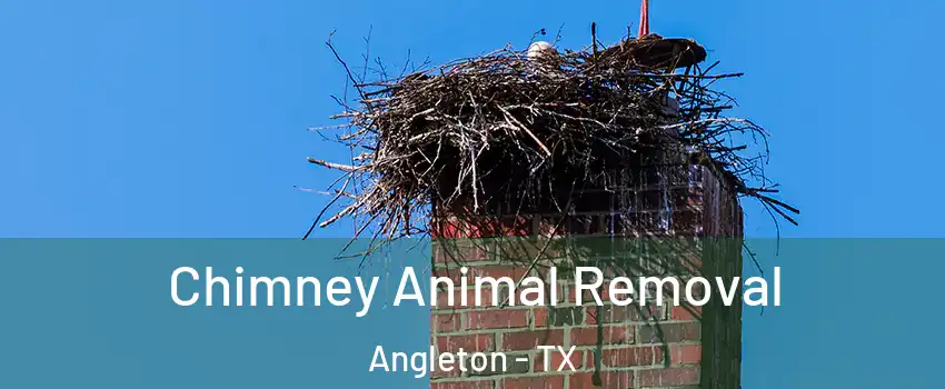  Chimney Animal Removal Angleton - TX