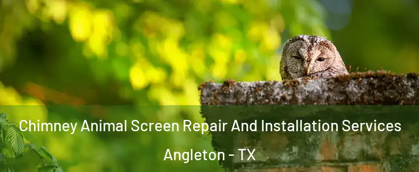  Chimney Animal Screen Repair And Installation Services Angleton - TX