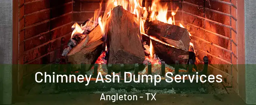  Chimney Ash Dump Services Angleton - TX