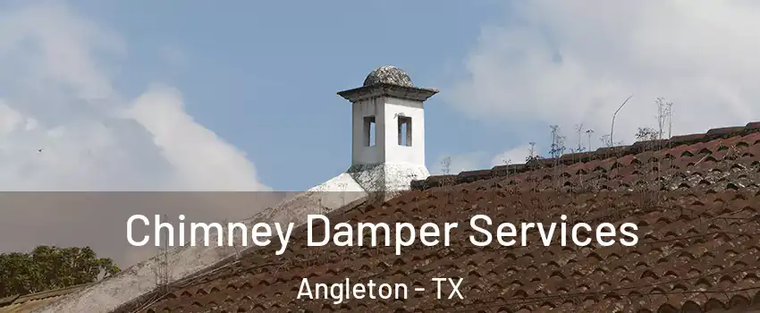  Chimney Damper Services Angleton - TX