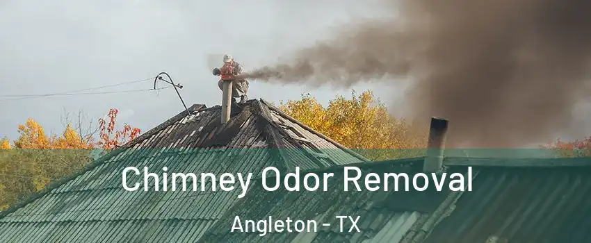  Chimney Odor Removal Angleton - TX