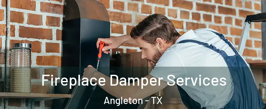  Fireplace Damper Services Angleton - TX