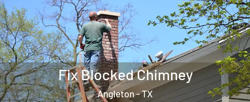  Fix Blocked Chimney Angleton - TX