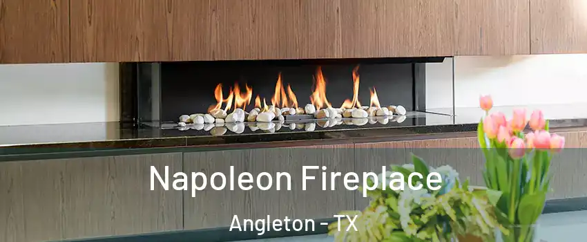  Napoleon Fireplace Angleton - TX
